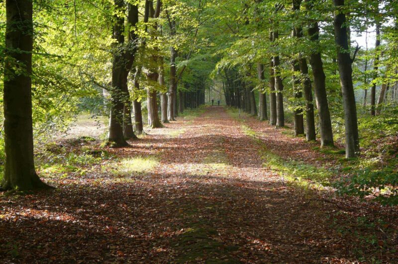 Landgoed het hakenberg 3